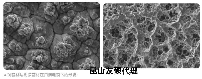 定西蔡司定西扫描电镜