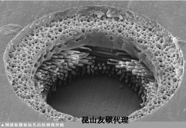 定西蔡司定西扫描电镜